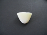 AS 365 - Bugnase kurz / schmal